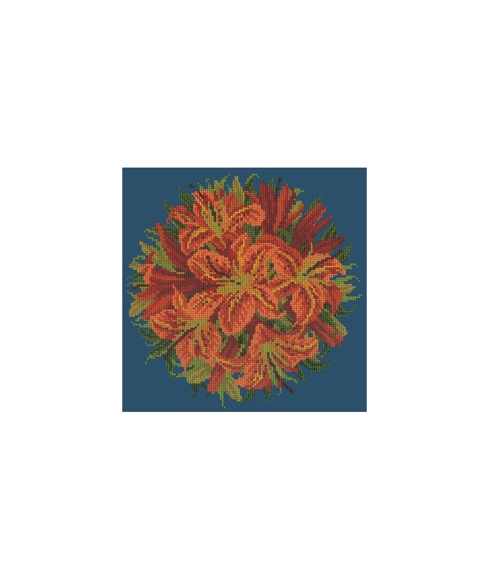 Elizabeth Bradley, Floribunda, LILY BALL - 12x12 pollici Elizabeth Bradley - 16