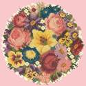 Elizabeth Bradley, Floribunda, VICTORIAN POSY - 12x12 pollici Elizabeth Bradley - 2