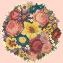 Elizabeth Bradley, Floribunda, VICTORIAN POSY - 12x12 pollici Elizabeth Bradley - 3