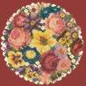 Elizabeth Bradley, Floribunda, VICTORIAN POSY - 12x12 pollici Elizabeth Bradley - 5
