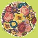 Elizabeth Bradley, Floribunda, VICTORIAN POSY - 12x12 pollici Elizabeth Bradley - 8