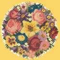 Elizabeth Bradley, Floribunda, VICTORIAN POSY - 12x12 pollici Elizabeth Bradley - 11
