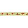 Tilda ribbon, Nastro 25 mm Fruit Garden Tilda Fabrics - 1