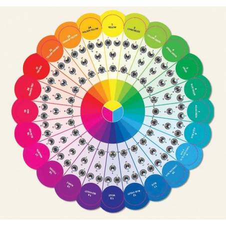 Guida Colore, Essential Color Wheel Companion C&T Publishing - 1