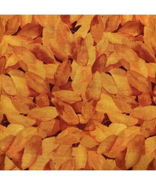 South Sea Import Q1822-58715-858 South Sea Import - 1