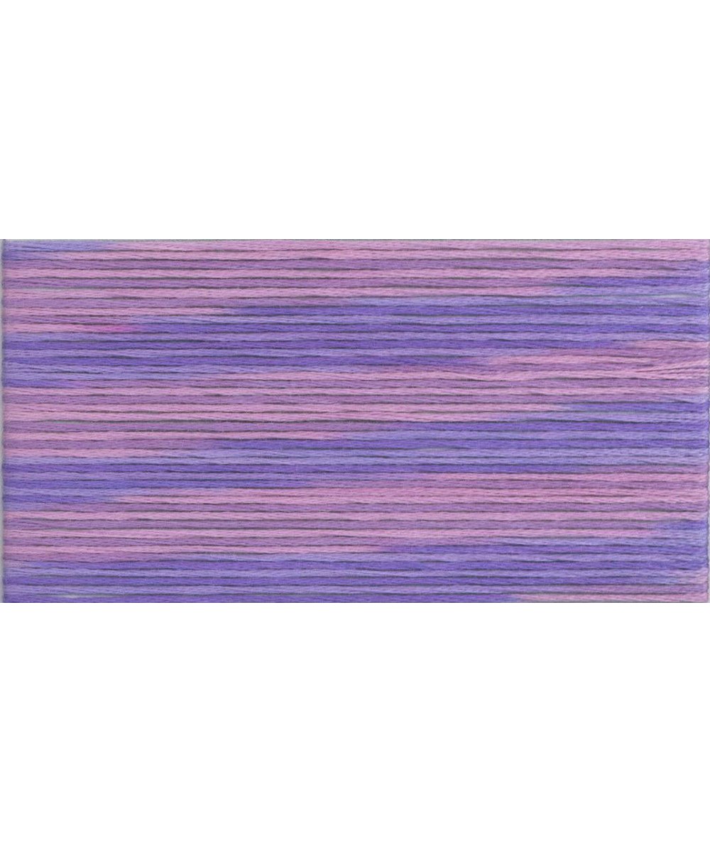 Cosmo Seasons 5000 - Filato Moulinè Da Ricamo Sfumato, 6 fili Cosmo - 24