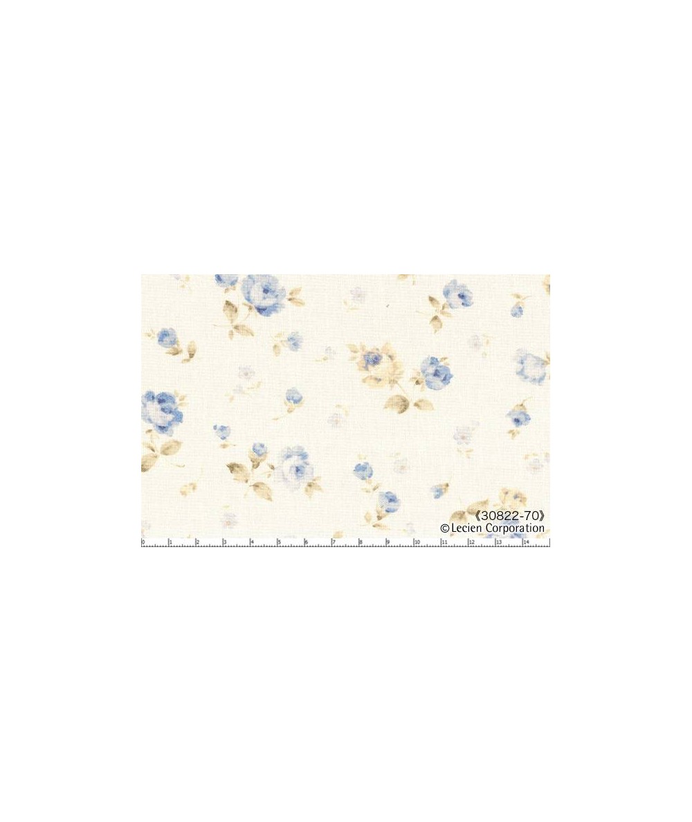 Lecien 30822-70 Lecien Corporation - 1