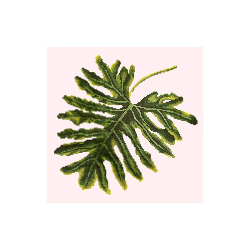 Elizabeth Bradley, Tropicals, PHILODENDRON LEAF - 16x16 pollici Elizabeth Bradley - 11
