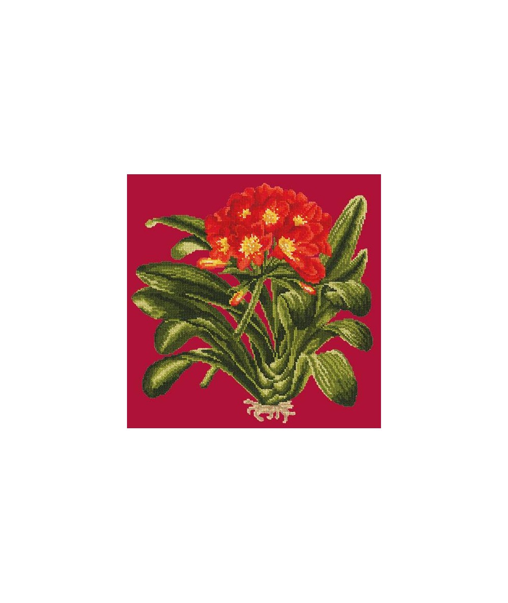 Elizabeth Bradley, Tropicals, CLIVIA - 16x16 pollici Elizabeth Bradley - 3 Elizabeth Bradley, Tropicals, CLIVIA - 16x16 pollici Elizabeth Bradley - 3