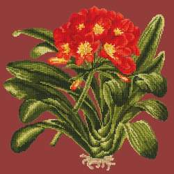 Elizabeth Bradley, Tropicals, CLIVIA - 16x16 pollici Elizabeth Bradley - 4