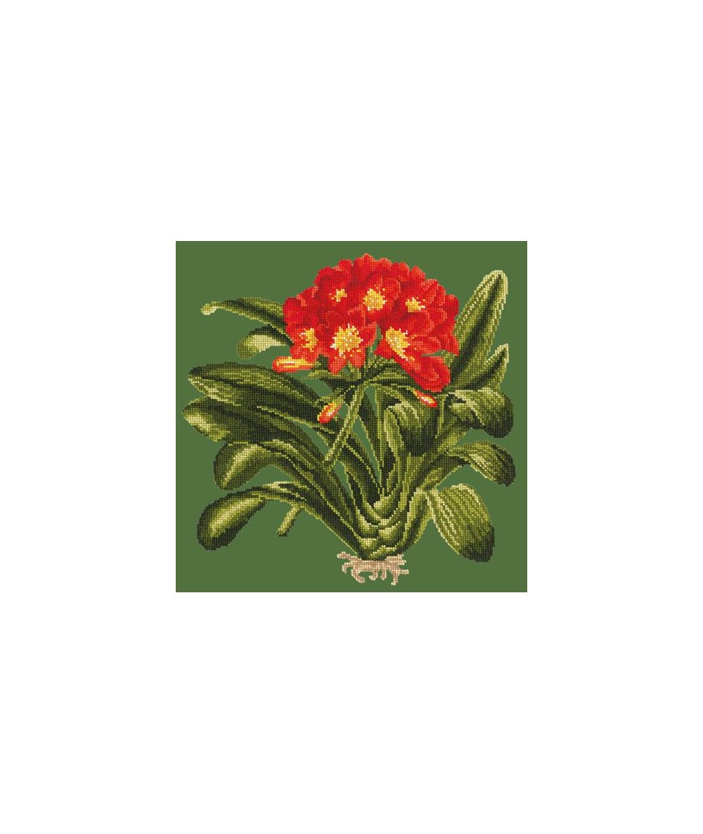 Elizabeth Bradley, Tropicals, CLIVIA - 16x16 pollici Elizabeth Bradley - 5
