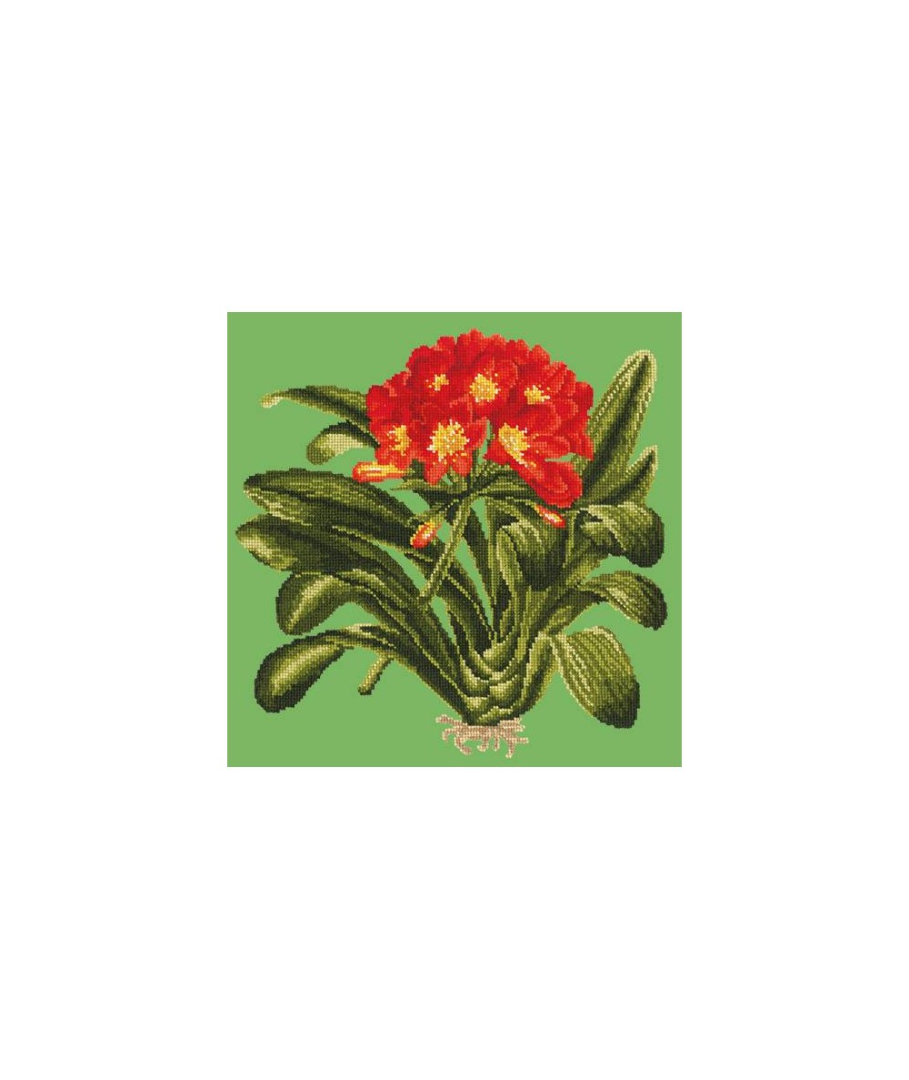 Elizabeth Bradley, Tropicals, CLIVIA - 16x16 pollici Elizabeth Bradley - 6 Elizabeth Bradley, Tropicals, CLIVIA - 16x16 pollici Elizabeth Bradley - 6