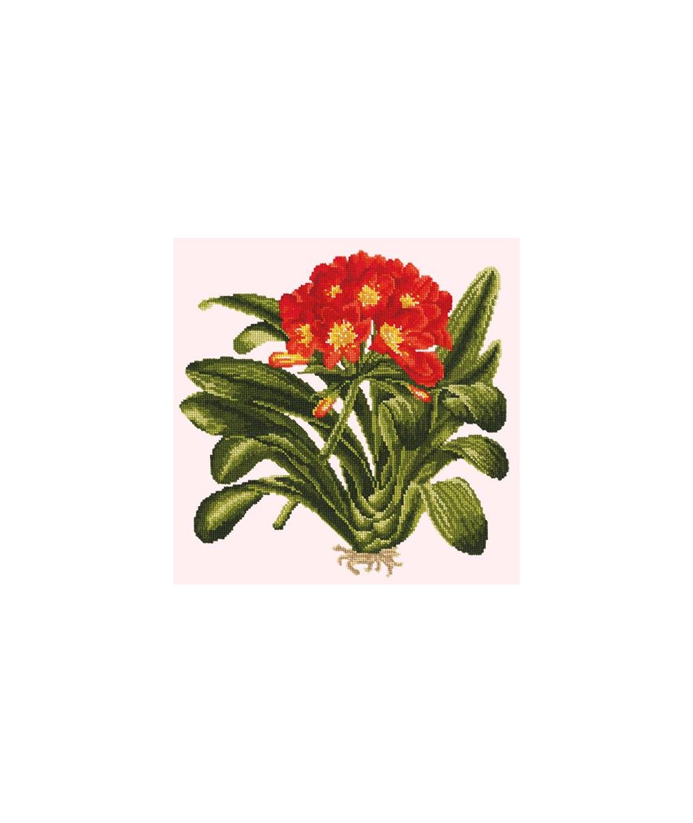 Elizabeth Bradley, Tropicals, CLIVIA - 16x16 pollici Elizabeth Bradley - 11