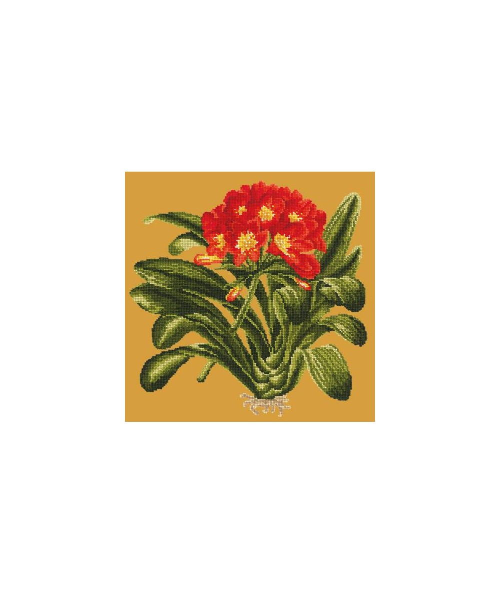 Elizabeth Bradley, Tropicals, CLIVIA - 16x16 pollici Elizabeth Bradley - 12