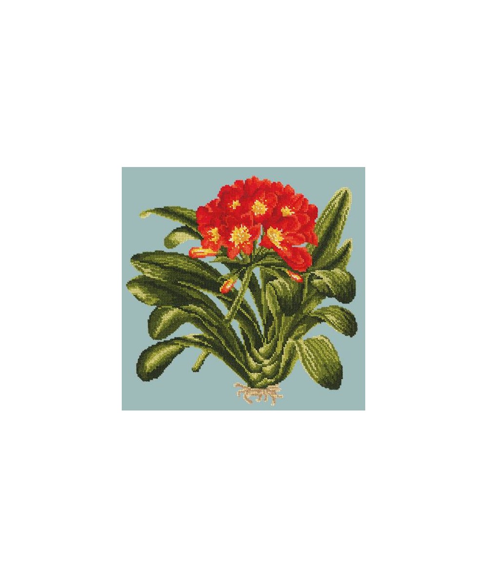 Elizabeth Bradley, Tropicals, CLIVIA - 16x16 pollici Elizabeth Bradley - 13 Elizabeth Bradley, Tropicals, CLIVIA - 16x16 pollici Elizabeth Bradley - 13