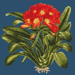 Elizabeth Bradley, Tropicals, CLIVIA - 16x16 pollici Elizabeth Bradley - 15