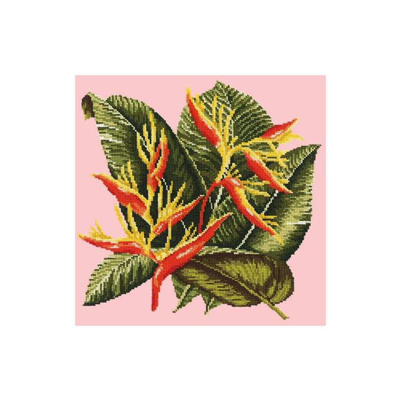 Elizabeth Bradley, Tropicals, HELICONIA - 16x16 pollici Elizabeth Bradley - 1