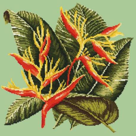 Elizabeth Bradley, Tropicals, HELICONIA - 16x16 pollici Elizabeth Bradley - 8