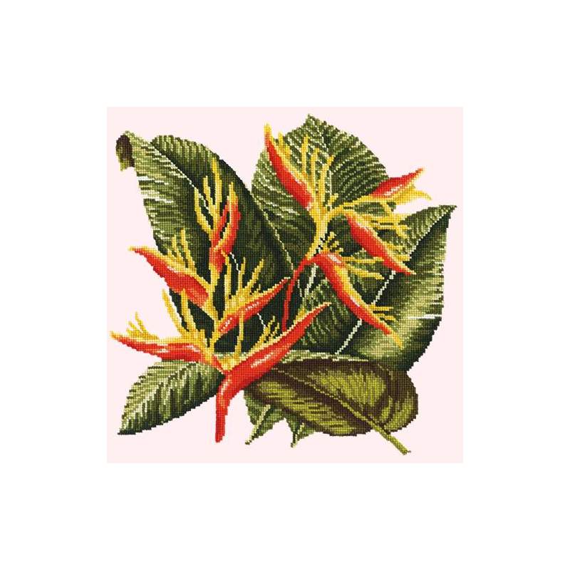 Elizabeth Bradley, Tropicals, HELICONIA - 16x16 pollici Elizabeth Bradley - 11