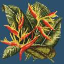 Elizabeth Bradley, Tropicals, HELICONIA - 16x16 pollici Elizabeth Bradley - 15