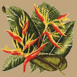 Elizabeth Bradley, Tropicals, HELICONIA - 16x16 pollici Elizabeth Bradley - 16