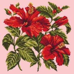 Elizabeth Bradley, Tropicals, HIBISCUS - 16x16 pollici Elizabeth Bradley - 1