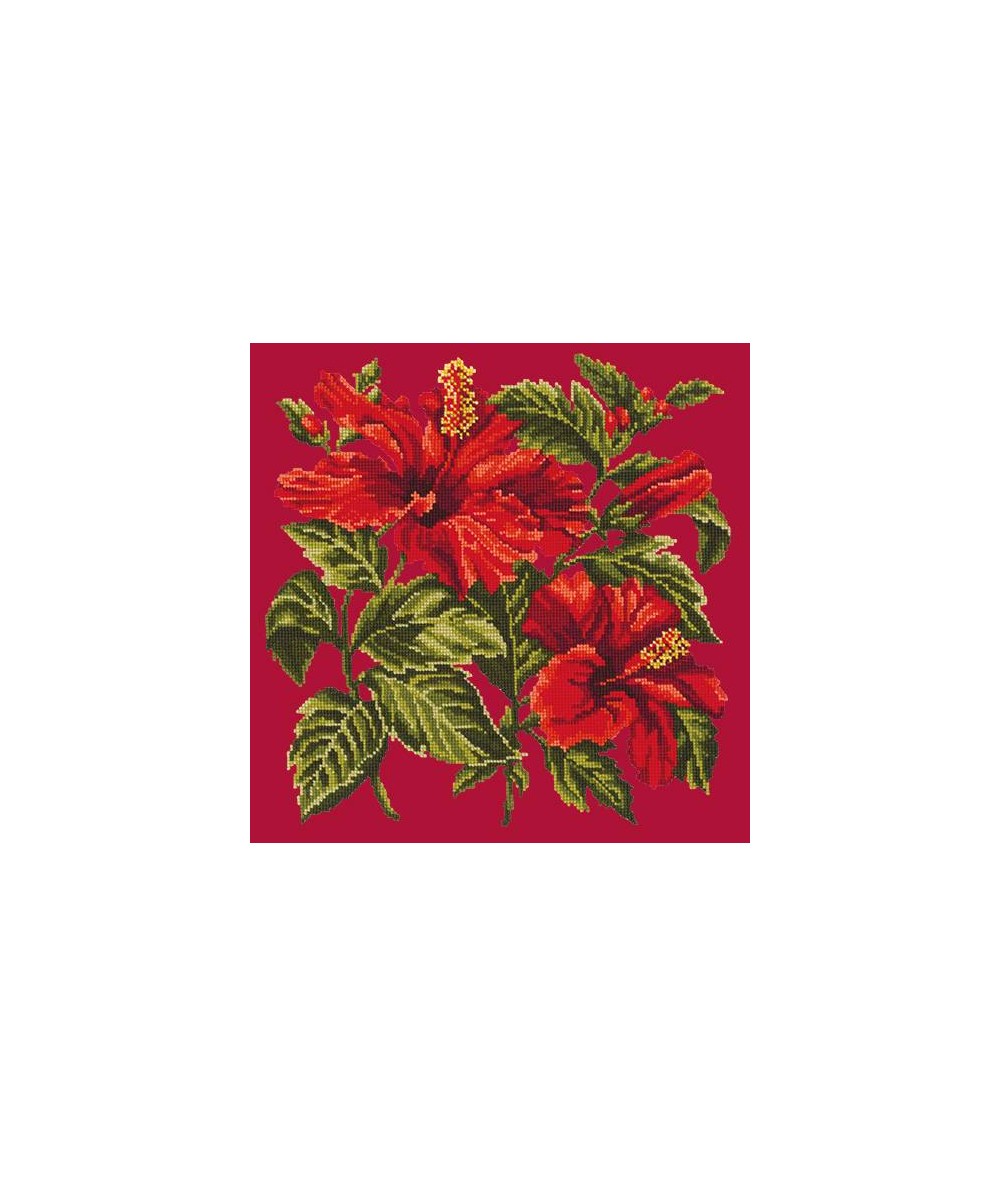 Elizabeth Bradley, Tropicals, HIBISCUS - 16x16 pollici Elizabeth Bradley - 3