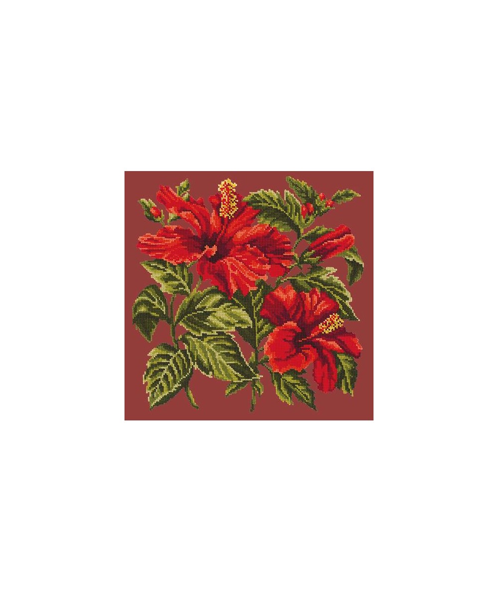 Elizabeth Bradley, Tropicals, HIBISCUS - 16x16 pollici Elizabeth Bradley - 4