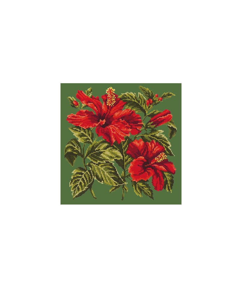 Elizabeth Bradley, Tropicals, HIBISCUS - 16x16 pollici Elizabeth Bradley - 5