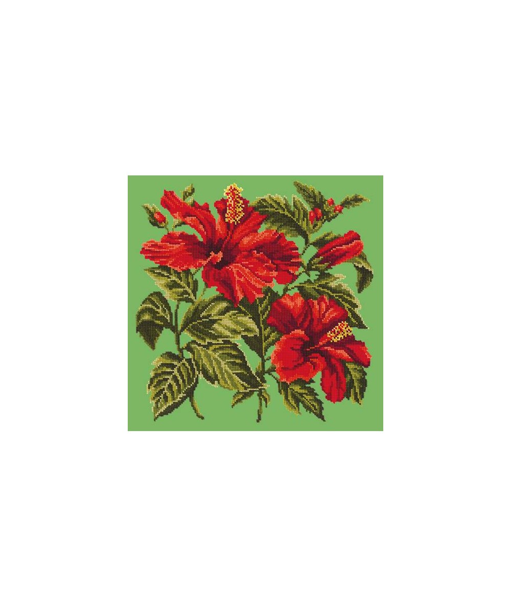 Elizabeth Bradley, Tropicals, HIBISCUS - 16x16 pollici Elizabeth Bradley - 6