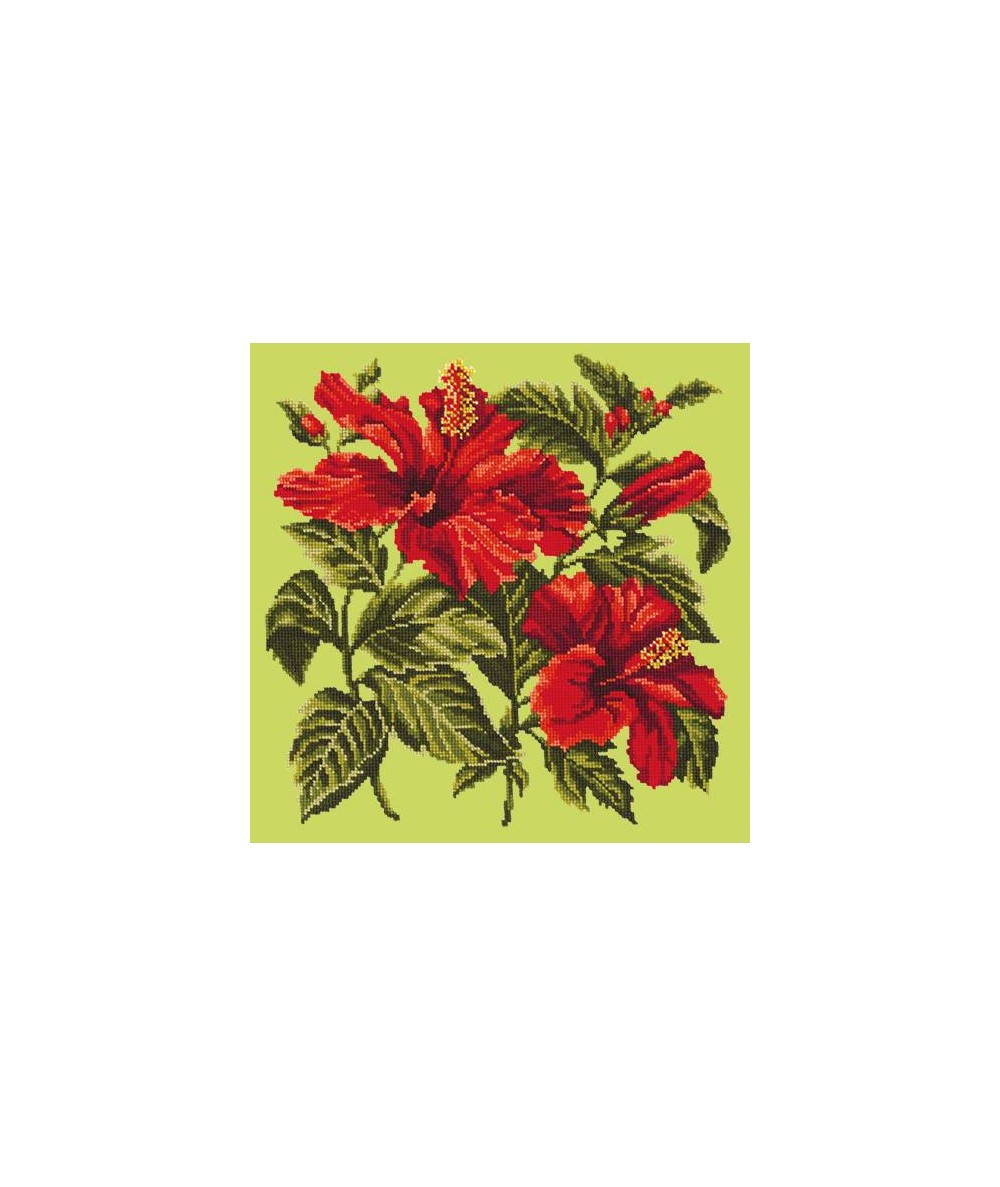 Elizabeth Bradley, Tropicals, HIBISCUS - 16x16 pollici Elizabeth Bradley - 7