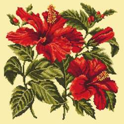 Elizabeth Bradley, Tropicals, HIBISCUS - 16x16 pollici Elizabeth Bradley - 9