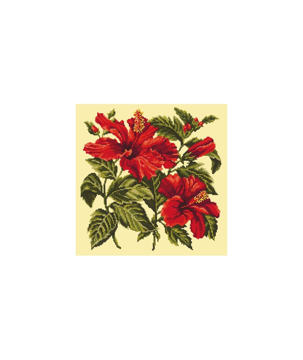 Elizabeth Bradley, Tropicals, HIBISCUS - 16x16 pollici Elizabeth Bradley - 9