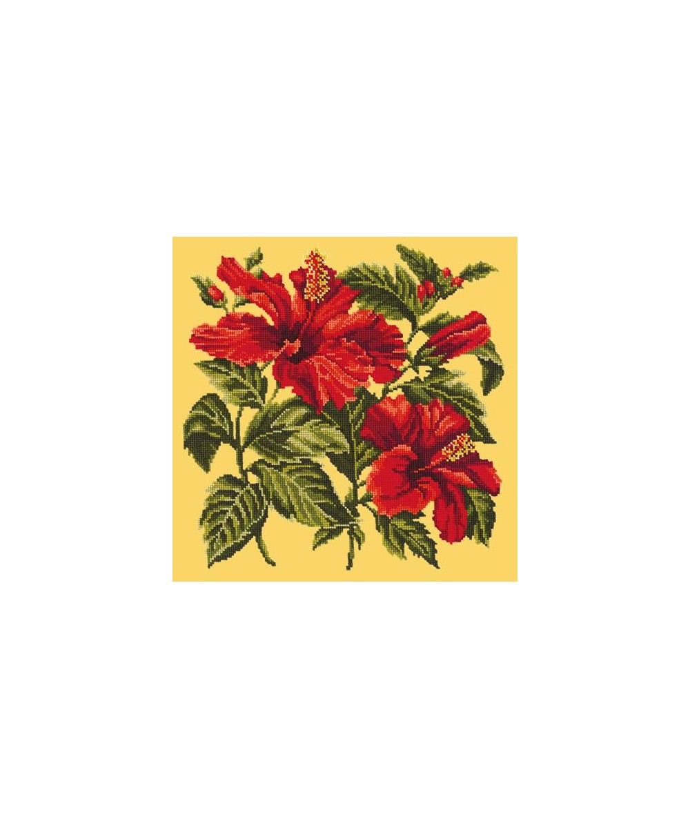 Elizabeth Bradley, Tropicals, HIBISCUS - 16x16 pollici Elizabeth Bradley - 10