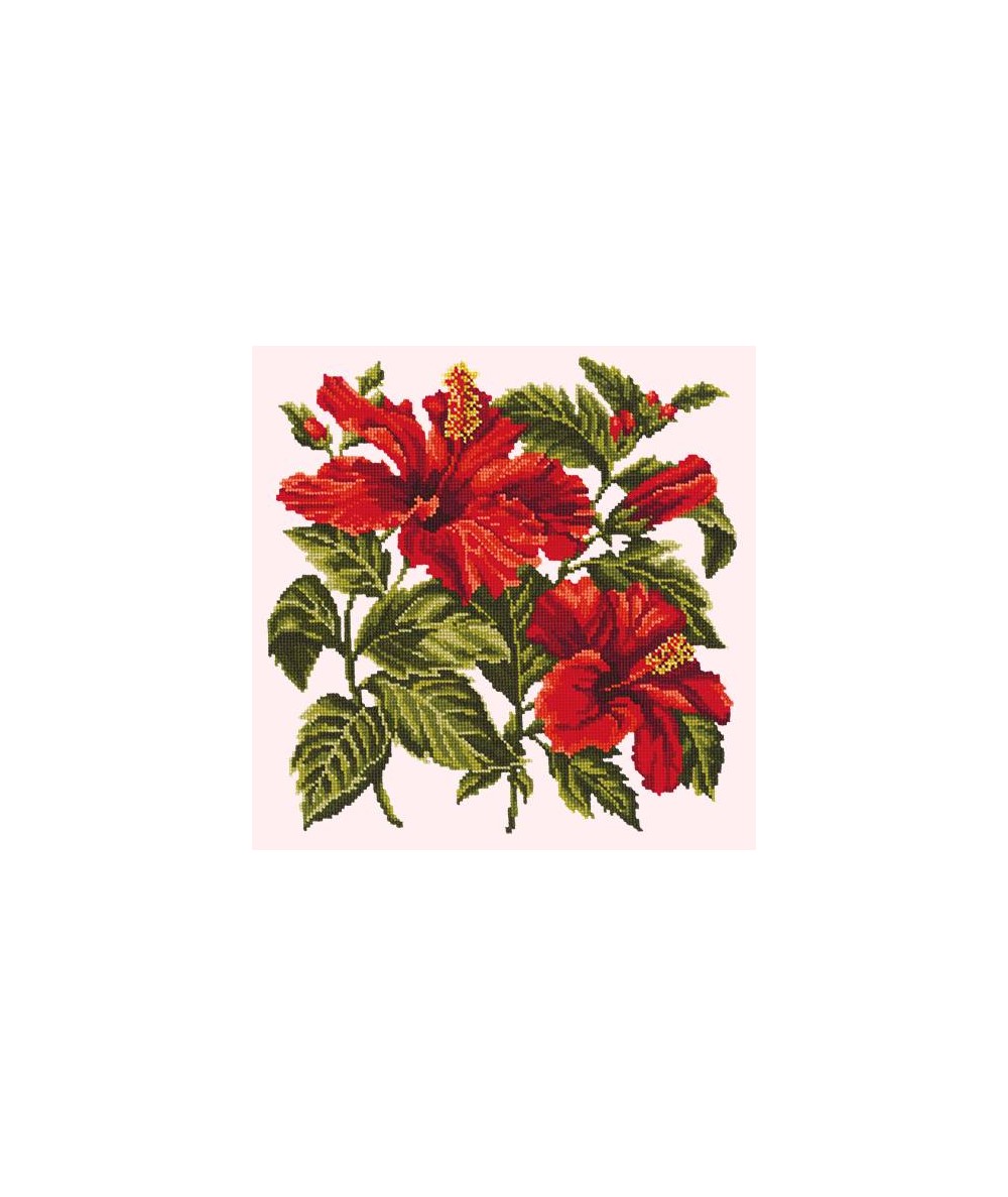 Elizabeth Bradley, Tropicals, HIBISCUS - 16x16 pollici Elizabeth Bradley - 11