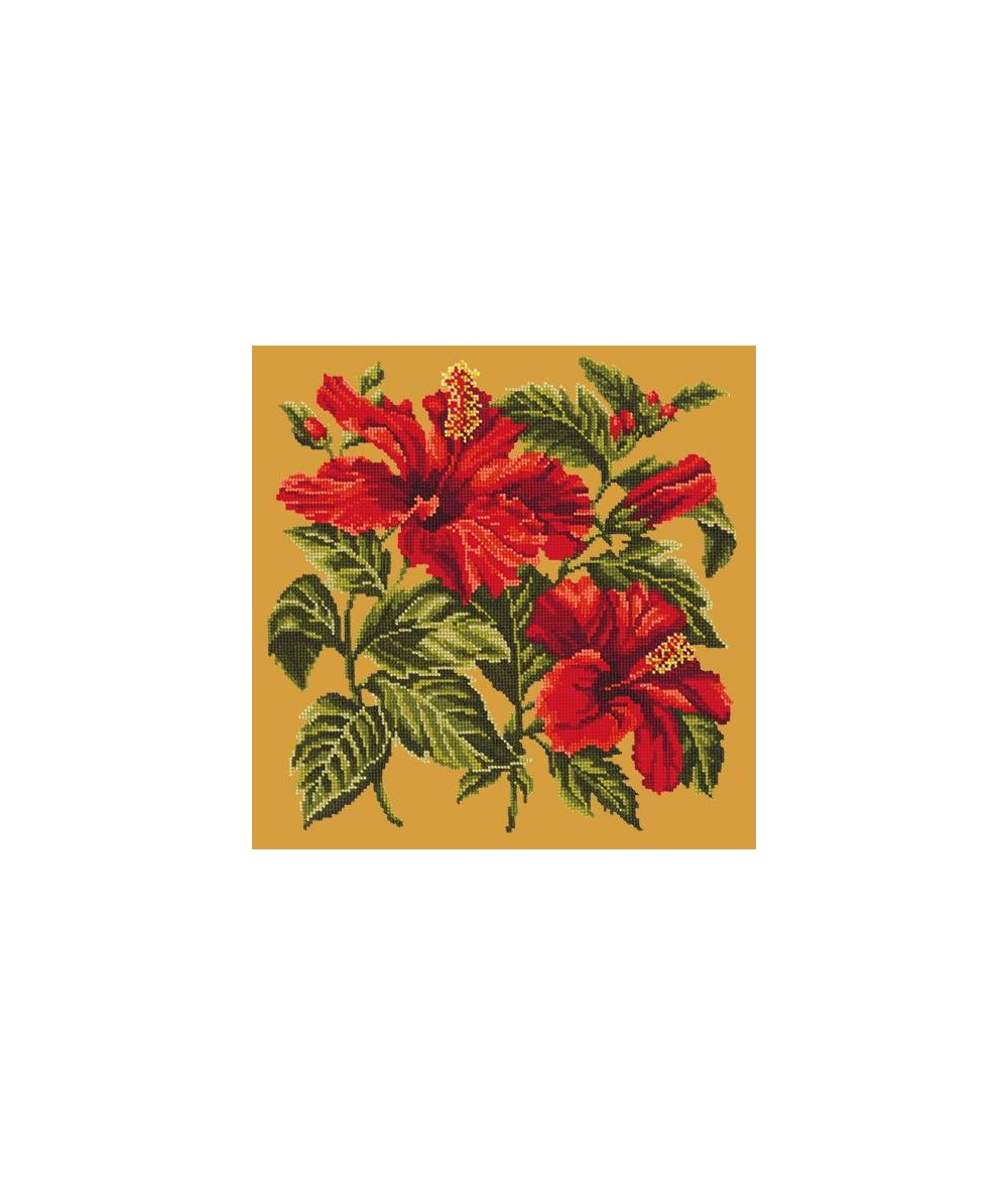 Elizabeth Bradley, Tropicals, HIBISCUS - 16x16 pollici Elizabeth Bradley - 12