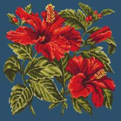 Elizabeth Bradley, Tropicals, HIBISCUS - 16x16 pollici Elizabeth Bradley - 15