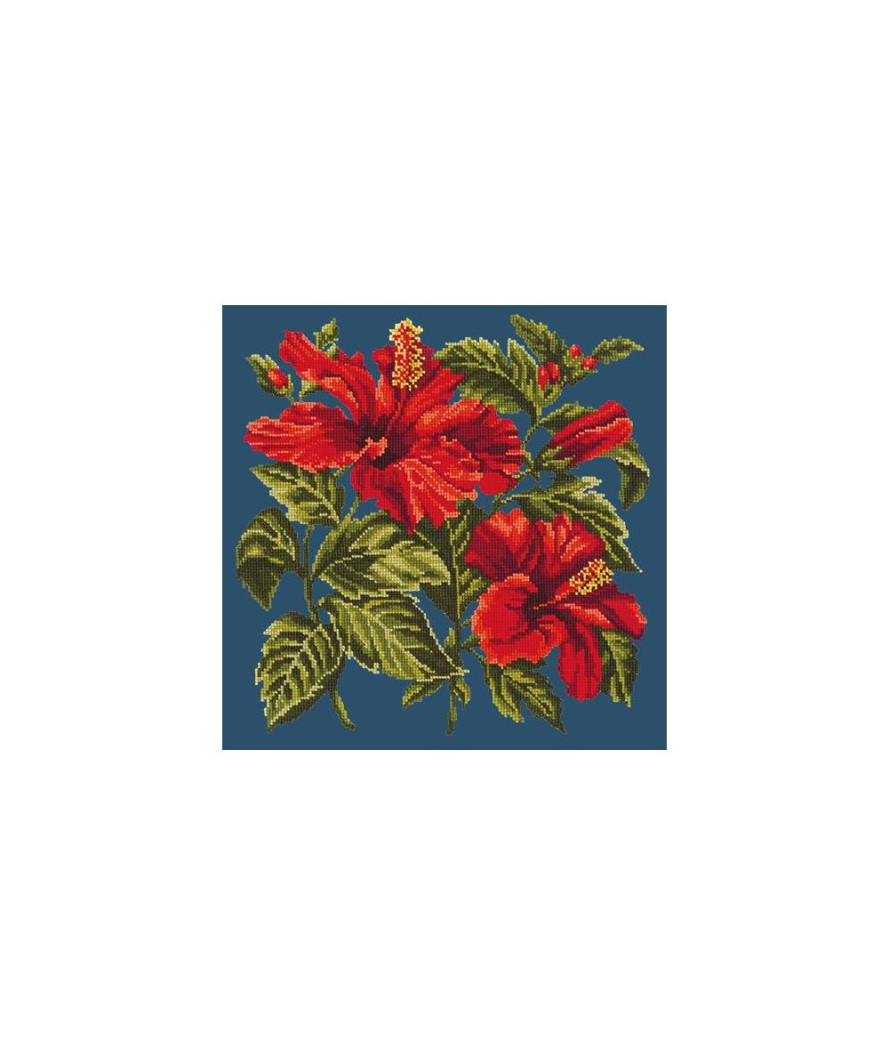 Elizabeth Bradley, Tropicals, HIBISCUS - 16x16 pollici Elizabeth Bradley - 15