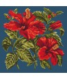 Elizabeth Bradley, Tropicals, HIBISCUS - 16x16 pollici Elizabeth Bradley - 15