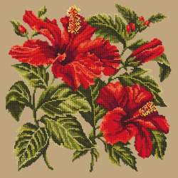 Elizabeth Bradley, Tropicals, HIBISCUS - 16x16 pollici Elizabeth Bradley - 16