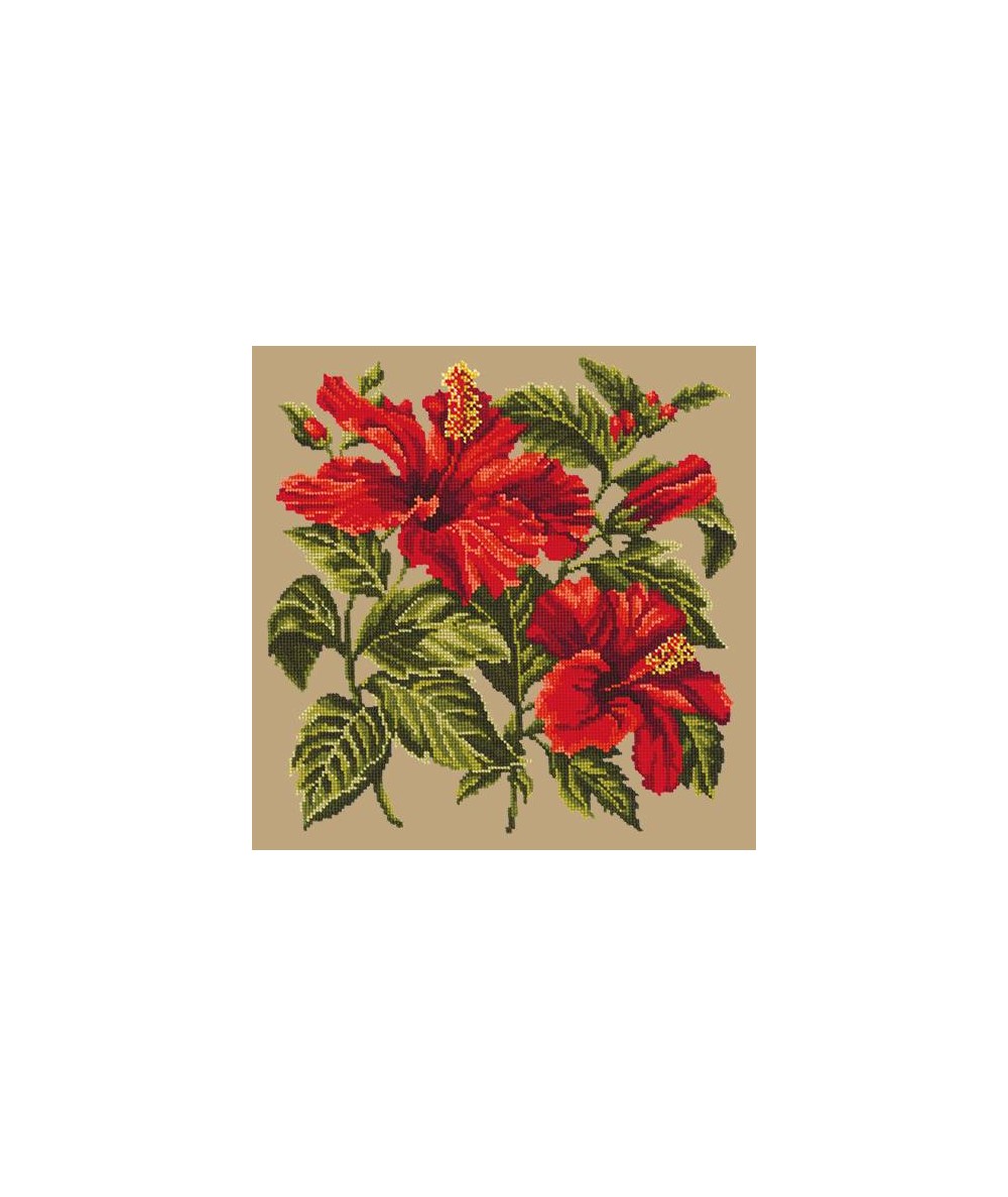 Elizabeth Bradley, Tropicals, HIBISCUS - 16x16 pollici Elizabeth Bradley - 16