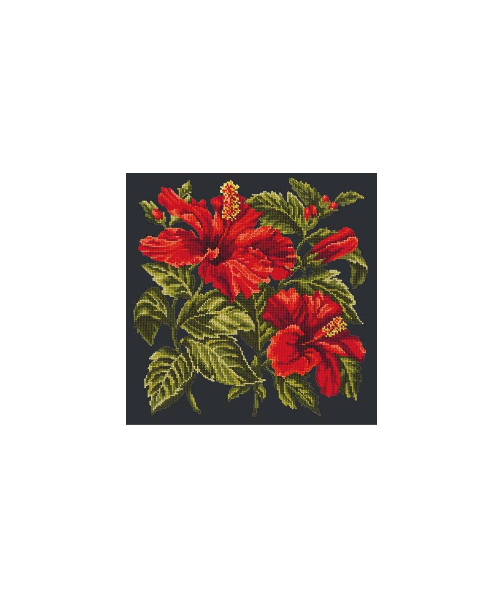 Elizabeth Bradley, Tropicals, HIBISCUS - 16x16 pollici Elizabeth Bradley - 17