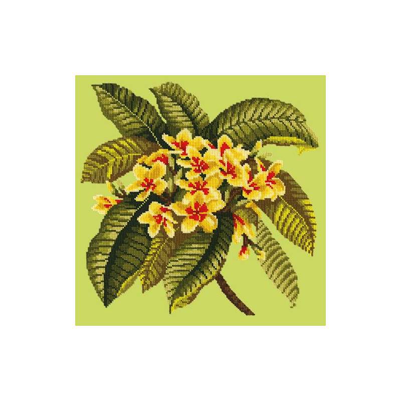 Elizabeth Bradley, Tropicals, FRANGIPANI - 16x16 pollici Elizabeth Bradley - 7
