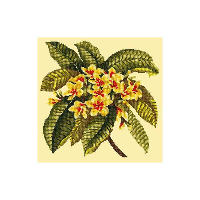 Elizabeth Bradley, Tropicals, FRANGIPANI - 16x16 pollici Elizabeth Bradley - 9