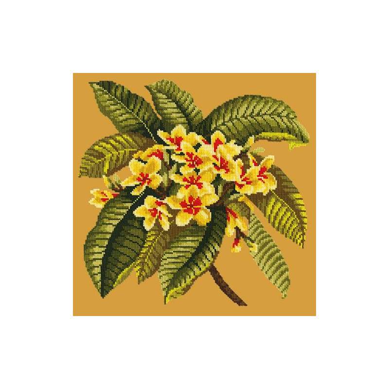 Elizabeth Bradley, Tropicals, FRANGIPANI - 16x16 pollici Elizabeth Bradley - 12