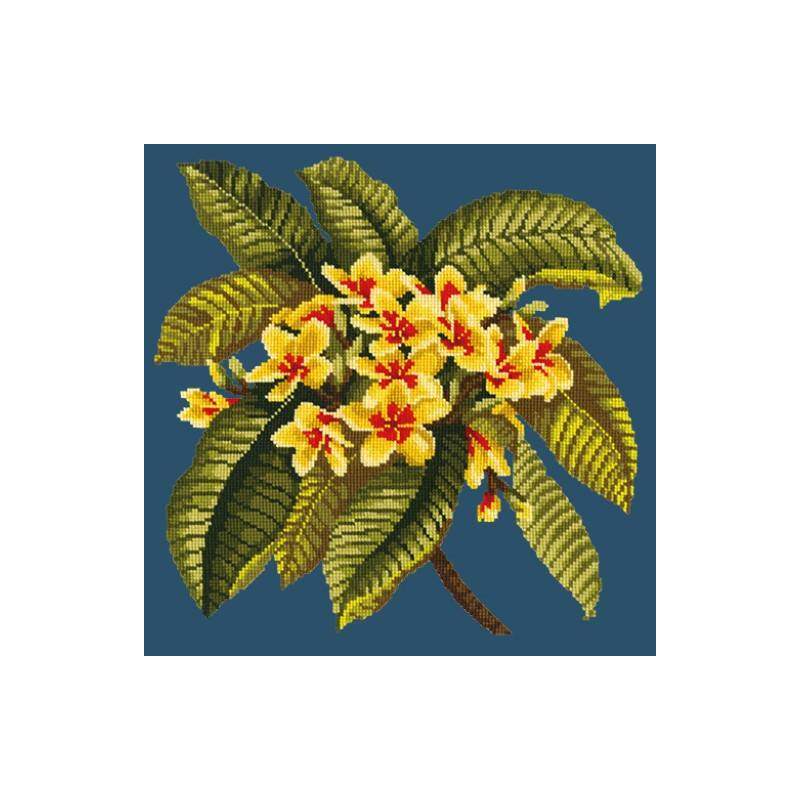 Elizabeth Bradley, Tropicals, FRANGIPANI - 16x16 pollici Elizabeth Bradley - 15