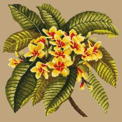 Elizabeth Bradley, Tropicals, FRANGIPANI - 16x16 pollici Elizabeth Bradley - 16