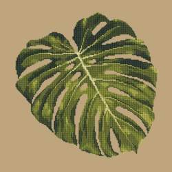 Elizabeth Bradley, Tropicals, MONSTERA LEAF - 16x16 pollici Elizabeth Bradley - 16