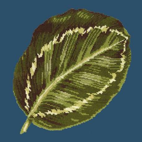 Elizabeth Bradley, Tropicals, CALATHEA LEAF - 16x16 pollici Elizabeth Bradley - 15