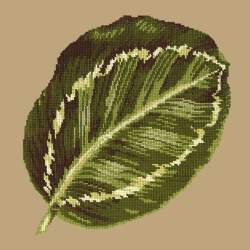 Elizabeth Bradley, Tropicals, CALATHEA LEAF - 16x16 pollici Elizabeth Bradley - 16